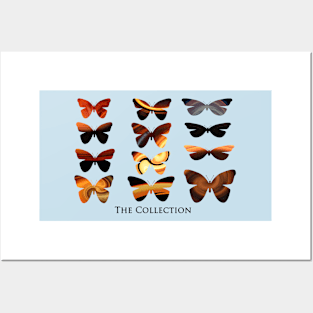 The Butterfly Collection Posters and Art